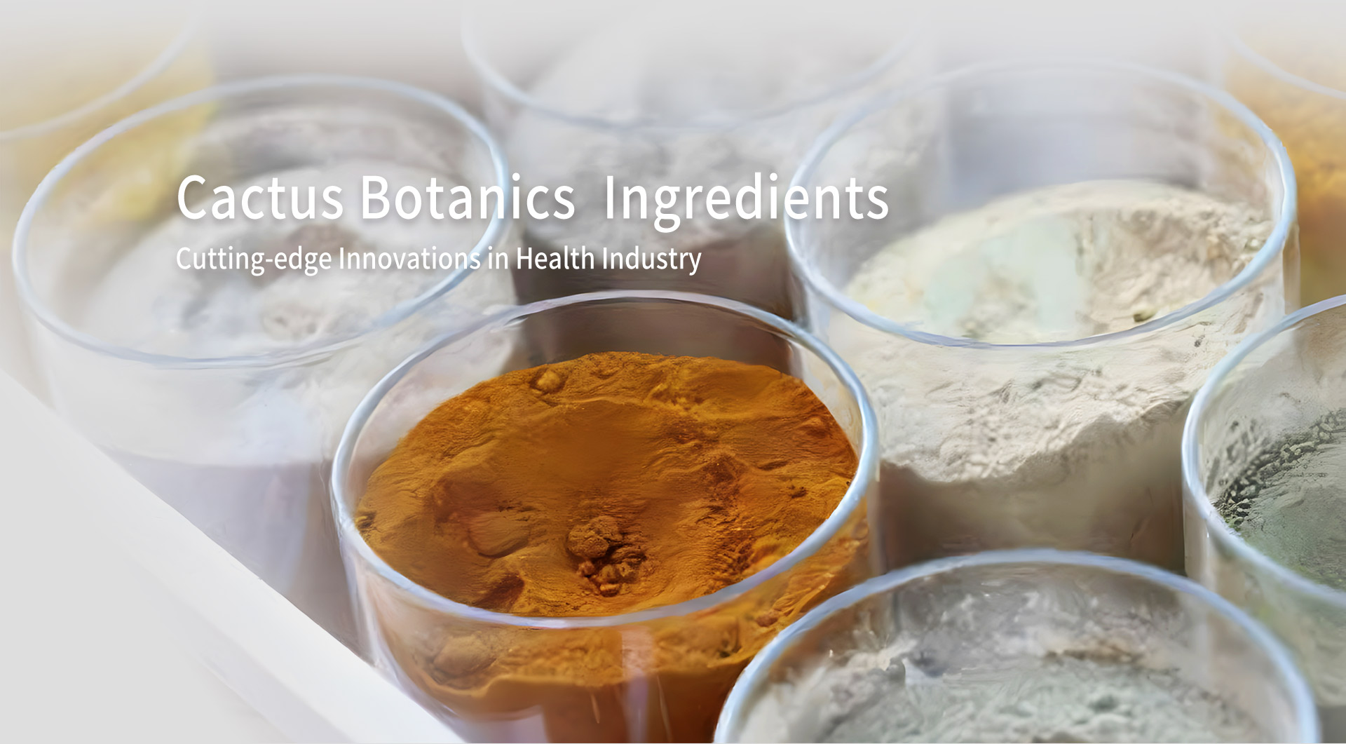 Cactus Botanics Modern Pharmaceutical Manufacturing Line