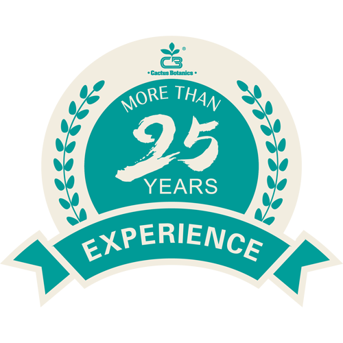 25 Years Industry Experience