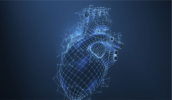 Coenzyme Q10 - The Expert for Heart Health